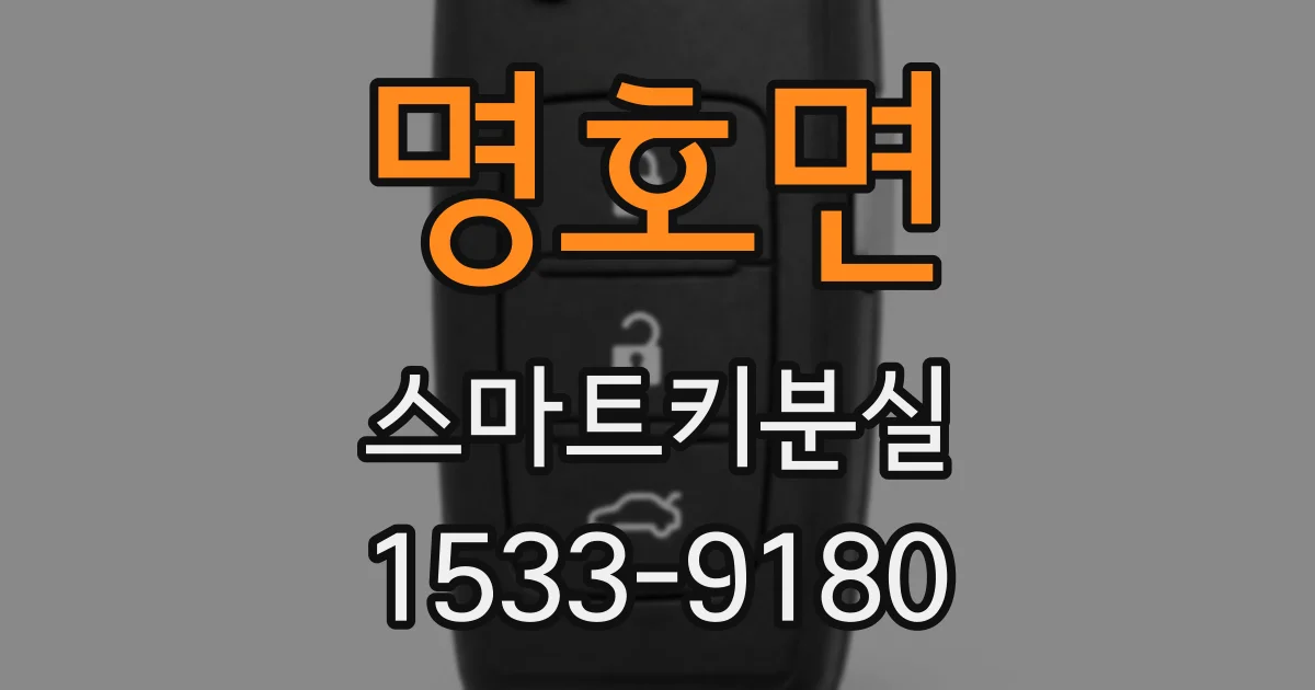 명호면 스마트키분실