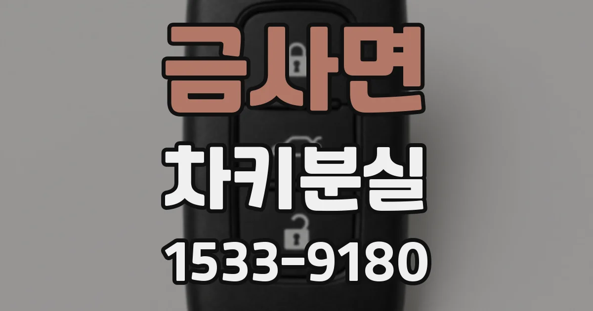 금사면 차키분실