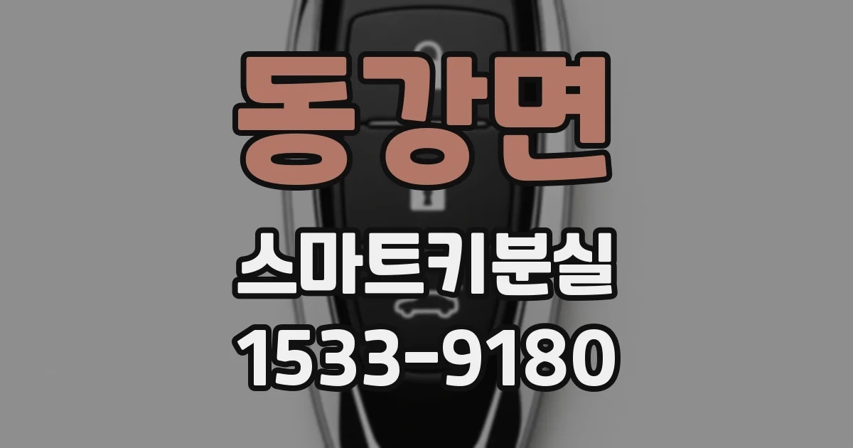 동강면 스마트키분실
