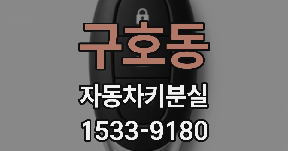 구호동 자동차키분실