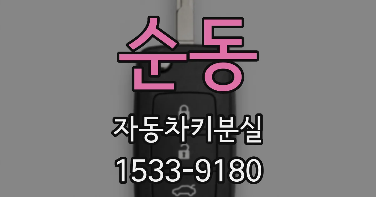 순동 자동차키분실