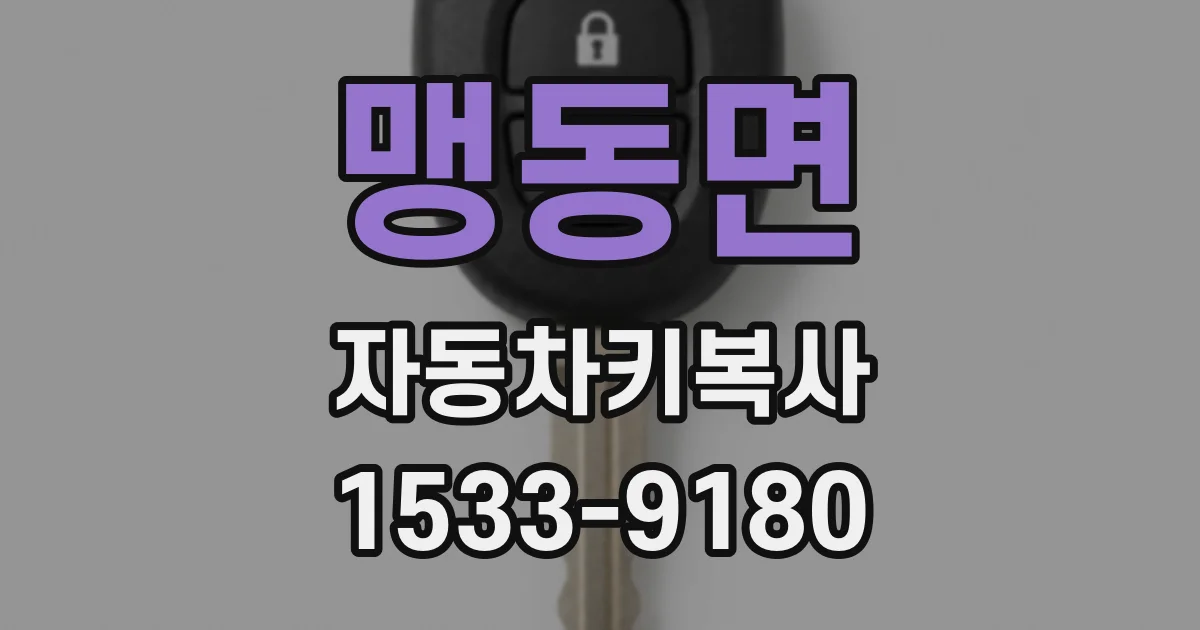 맹동면 자동차키복사