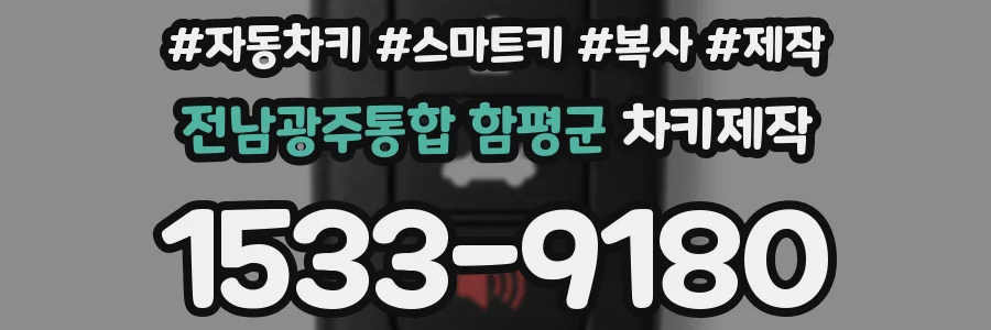 전남광주통합 함평군 차키제작