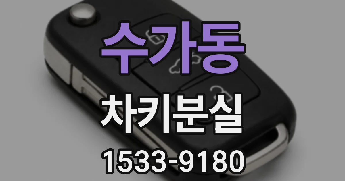 수가동 차키분실