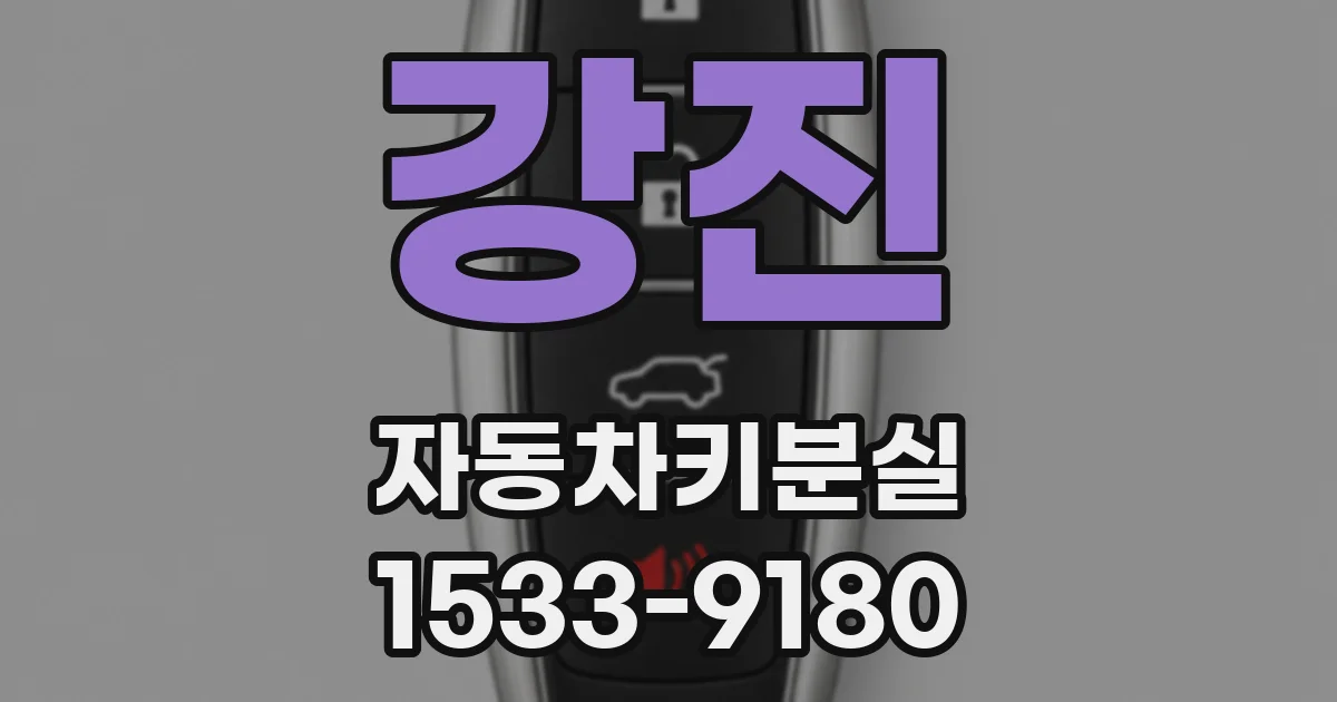 강진 자동차키분실