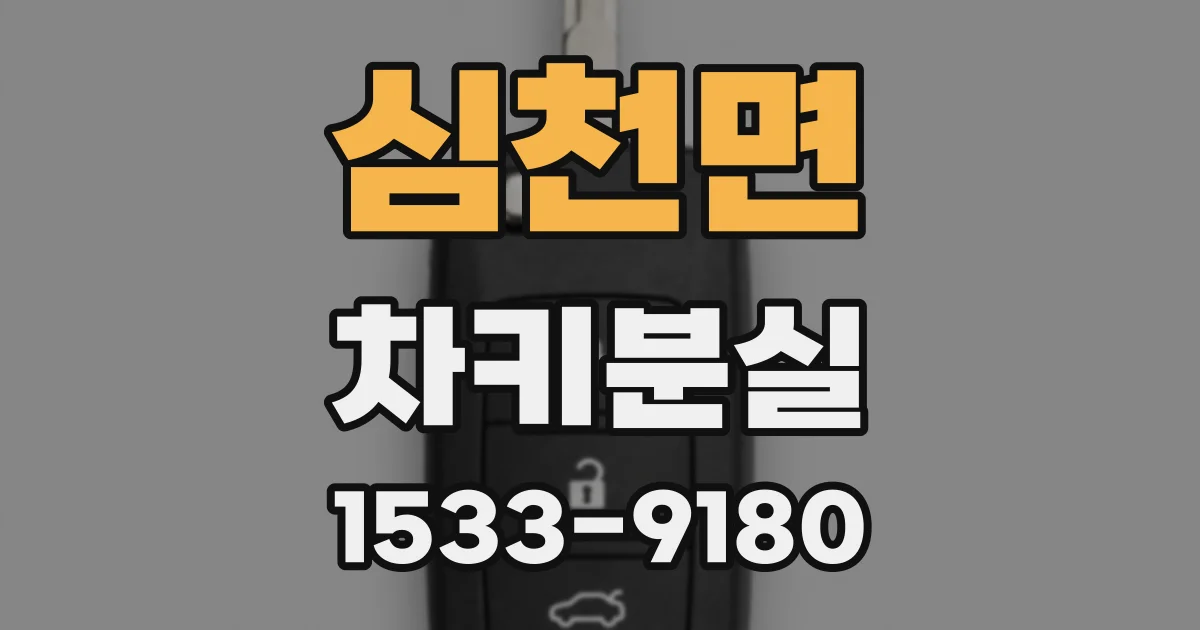 심천면 차키분실