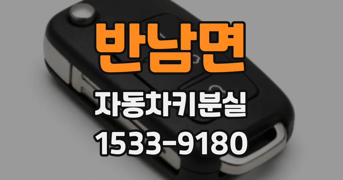 반남면 자동차키분실