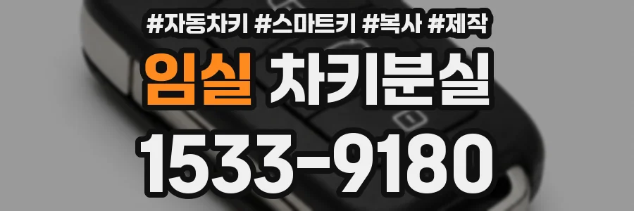 임실 차키분실