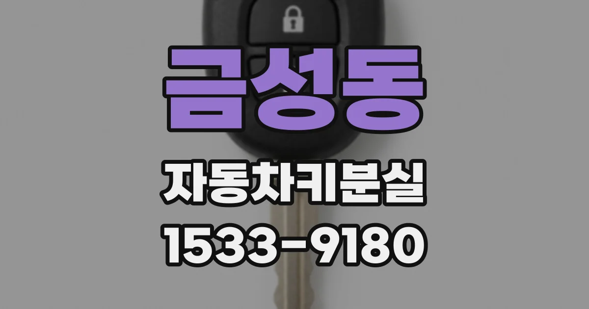 금성동 자동차키분실
