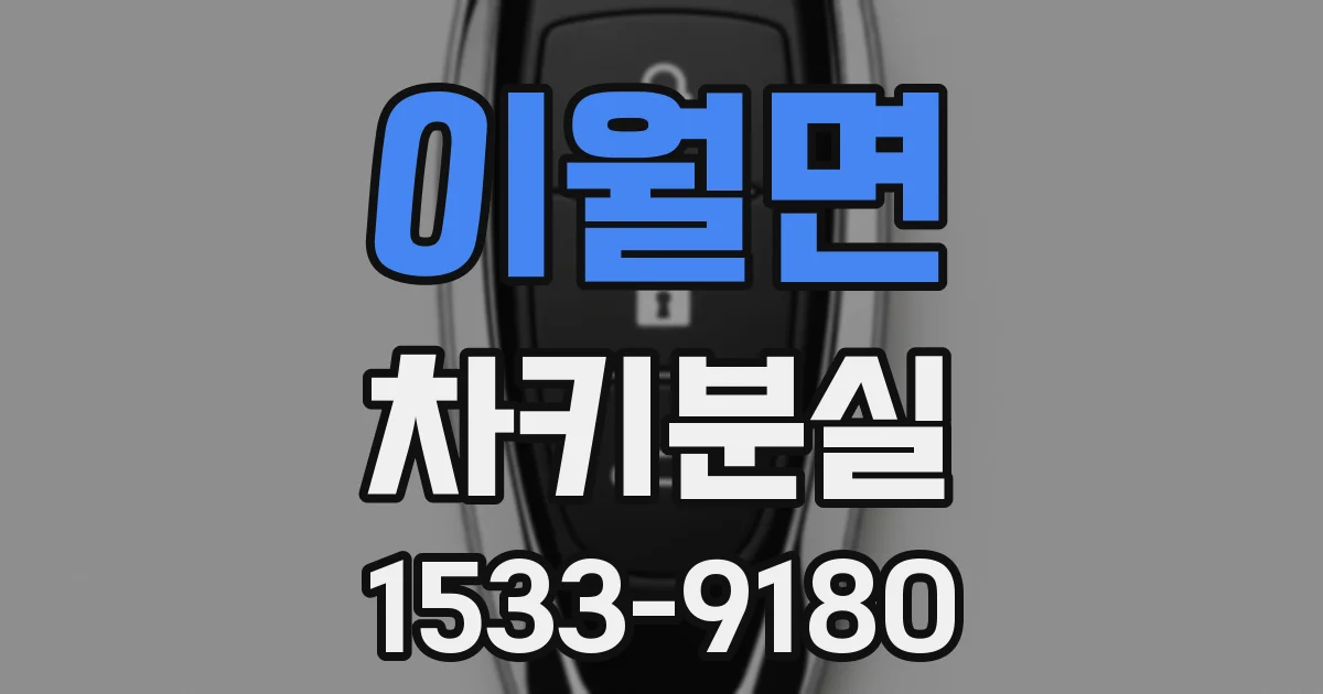 이월면 차키분실