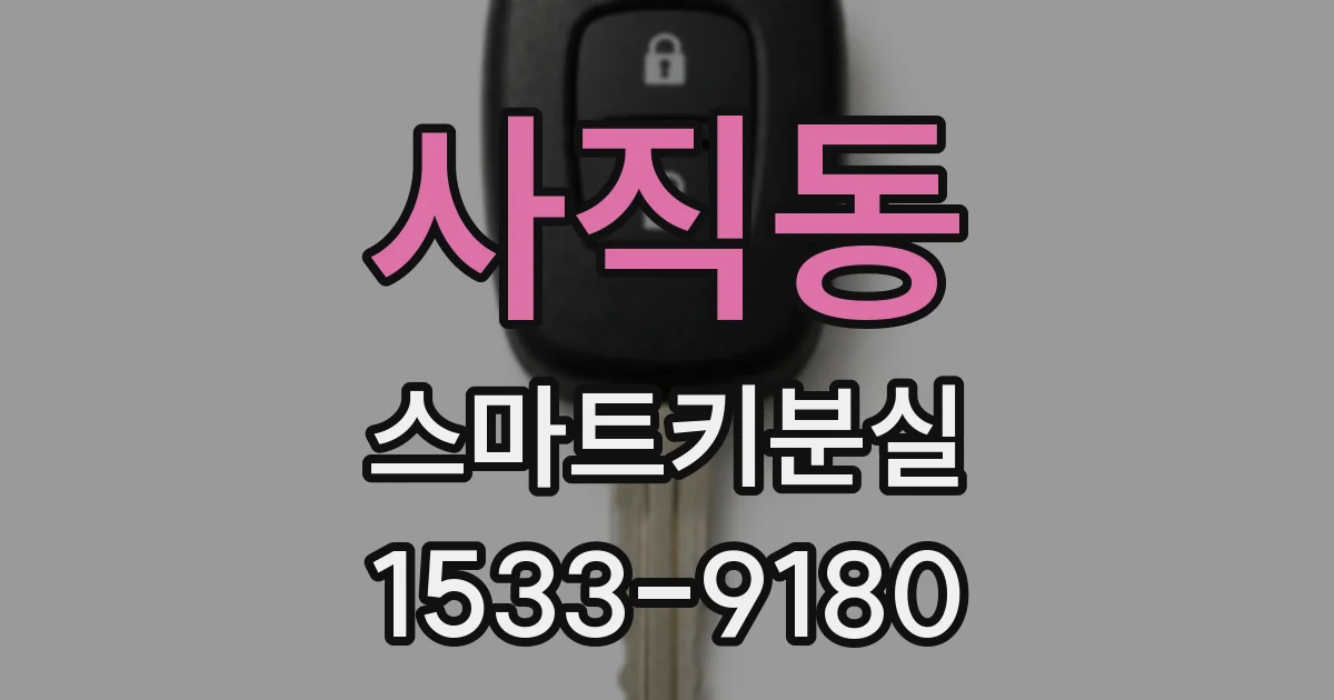 사직동 스마트키분실