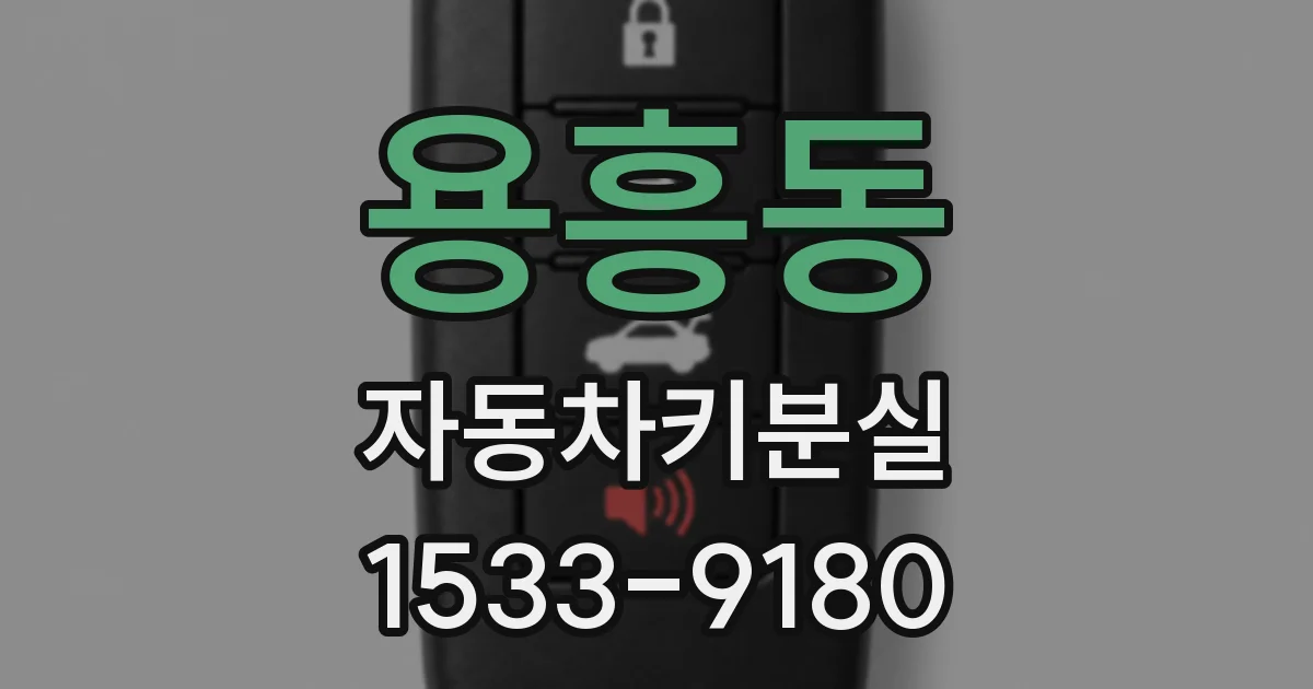 용흥동 자동차키분실
