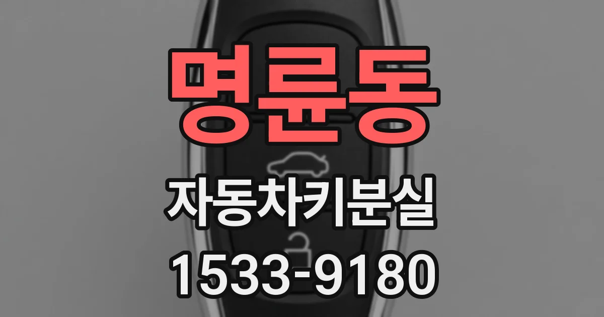 명륜동 자동차키분실