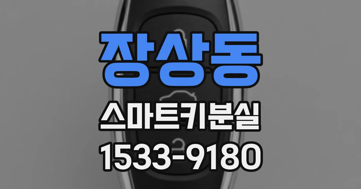 장상동 스마트키분실