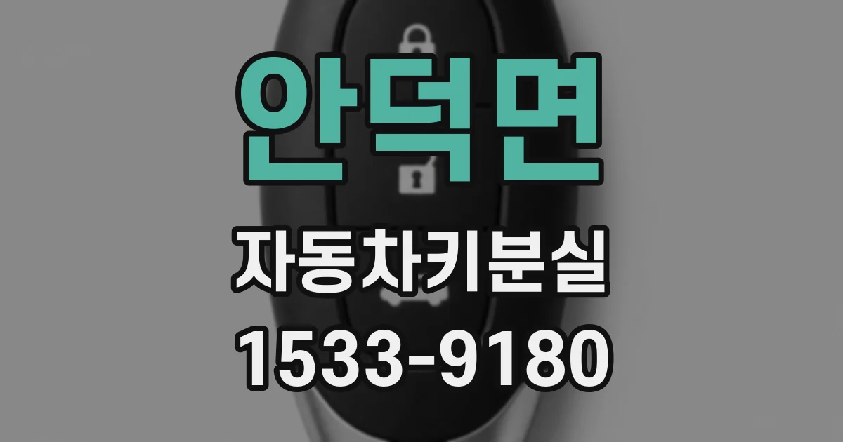 안덕면 자동차키분실
