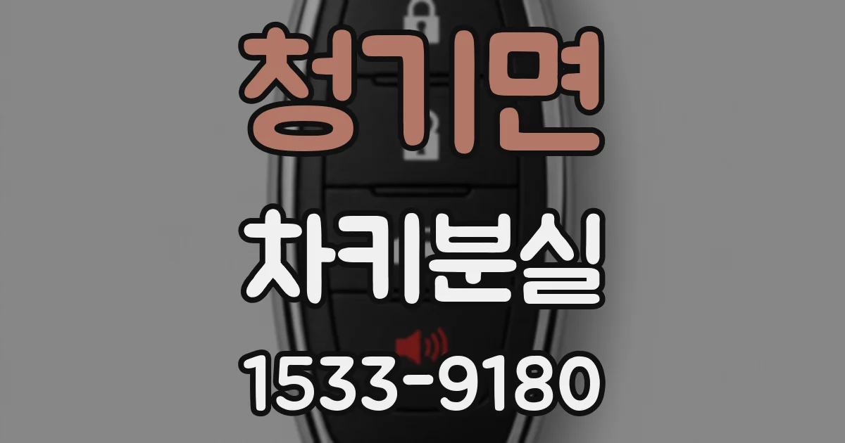 청기면 차키분실
