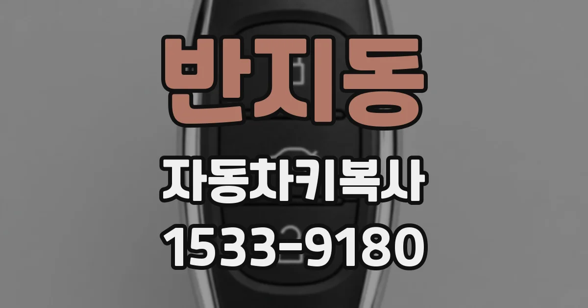 반지동 자동차키복사