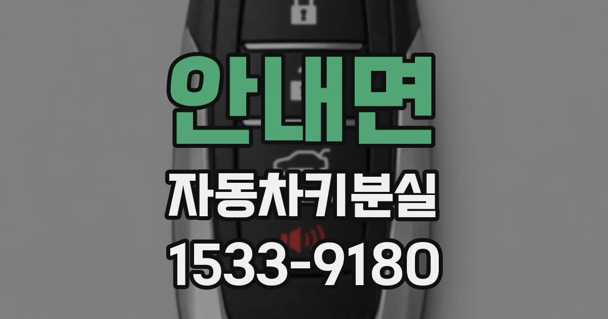 안내면 자동차키분실