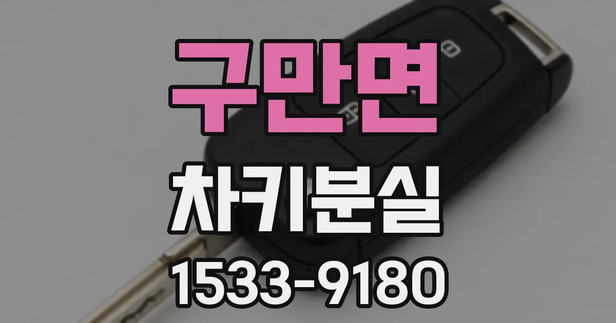 구만면 차키분실