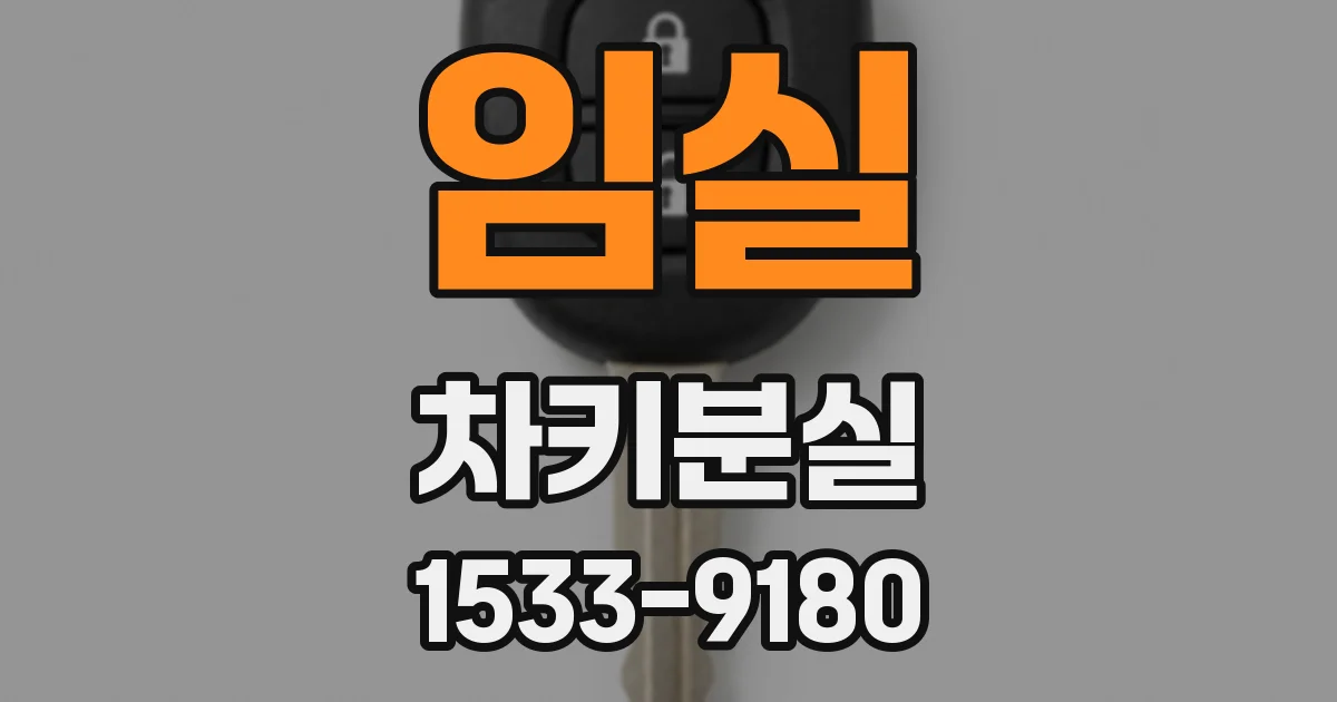 임실 차키분실