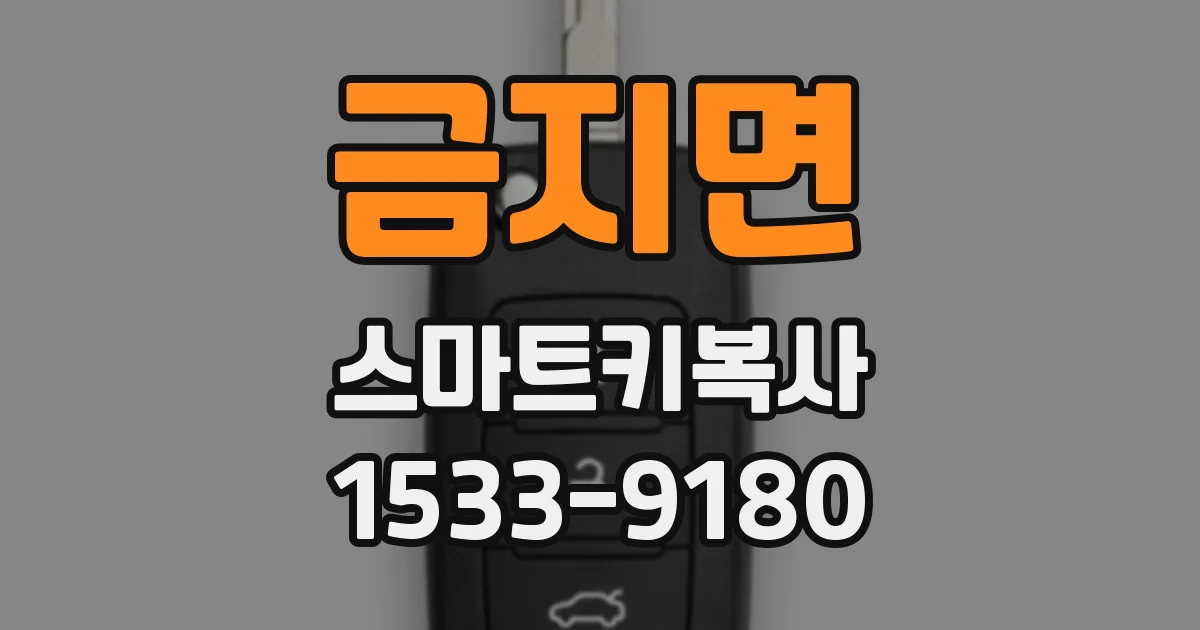 금지면 스마트키복사