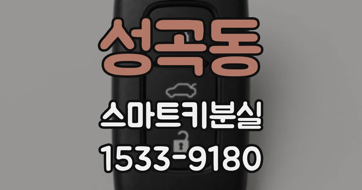 성곡동 스마트키분실
