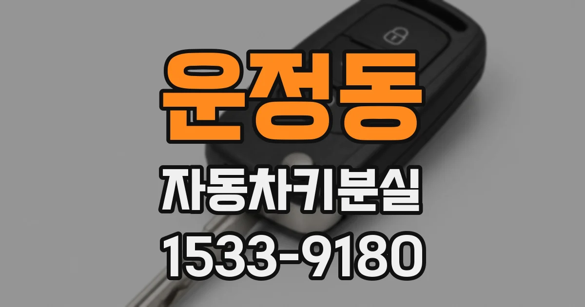 운정동 자동차키분실