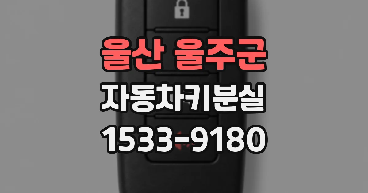 울산 울주군 자동차키분실