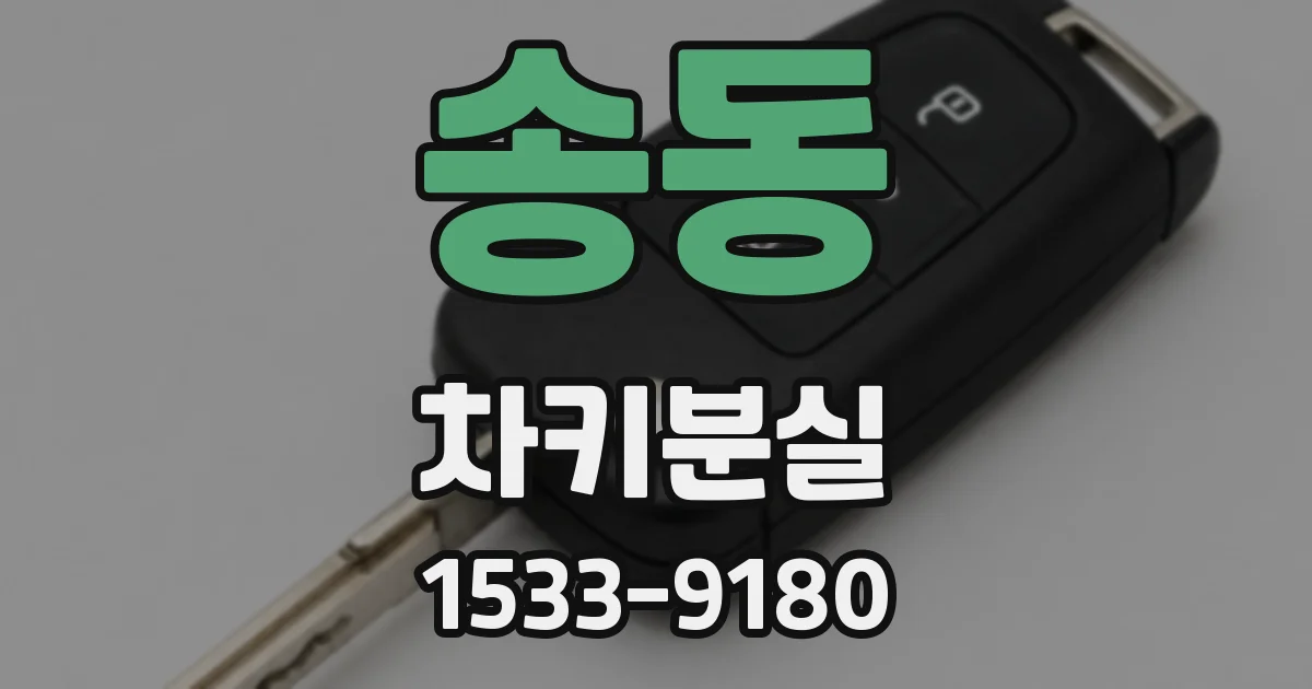 송동 차키분실