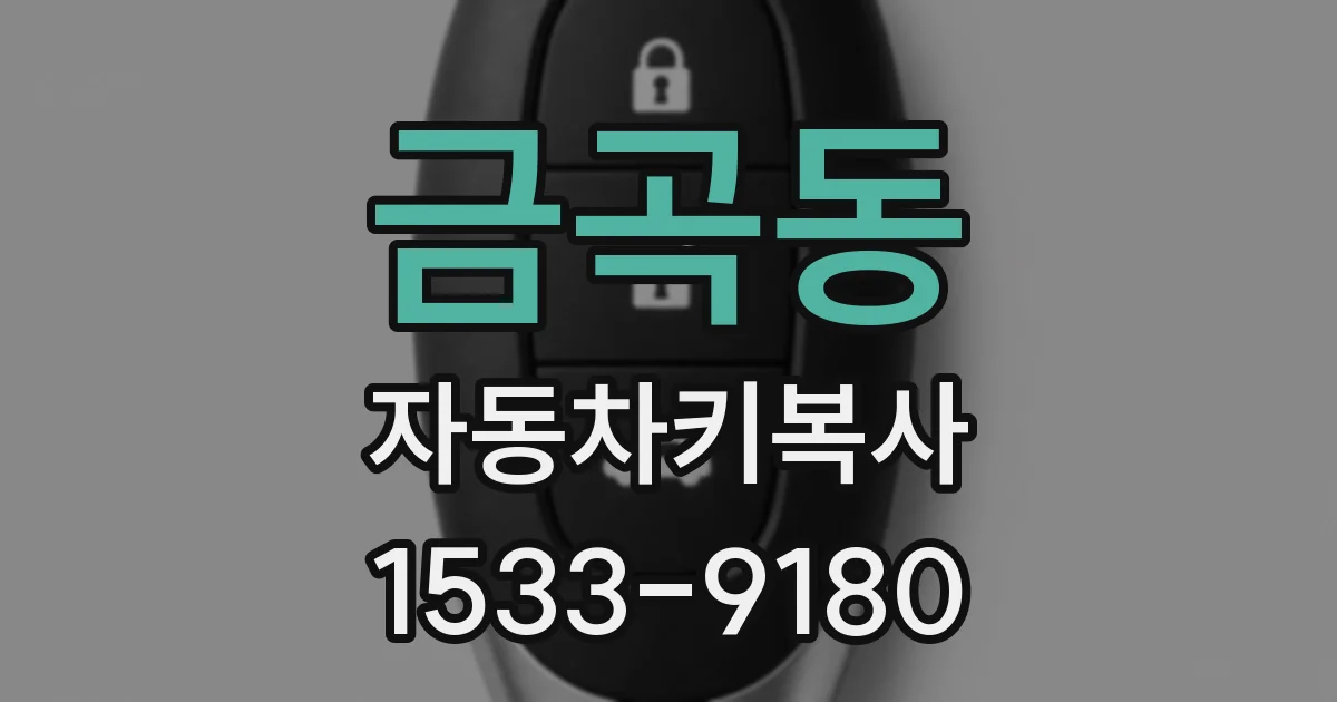 금곡동 자동차키복사
