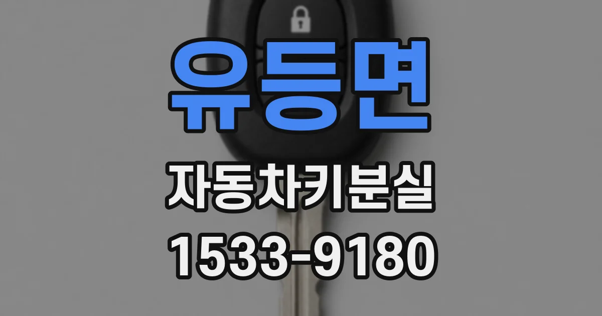 유등면 자동차키분실
