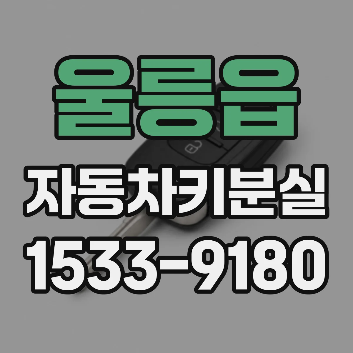 울릉읍 자동차키분실