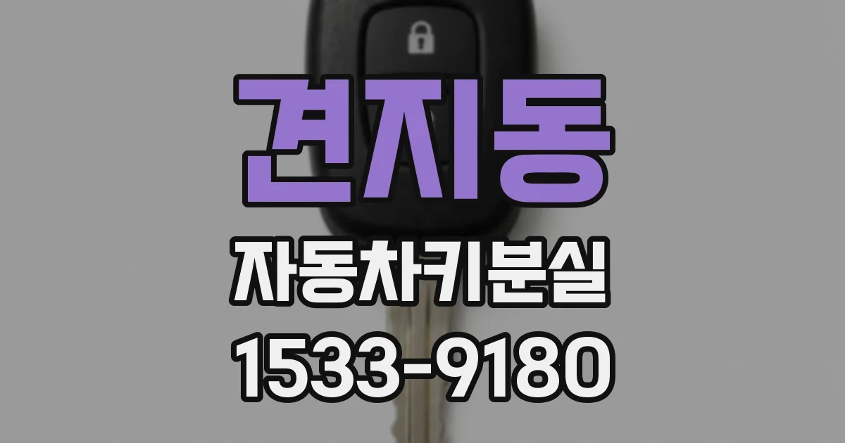 견지동 자동차키분실