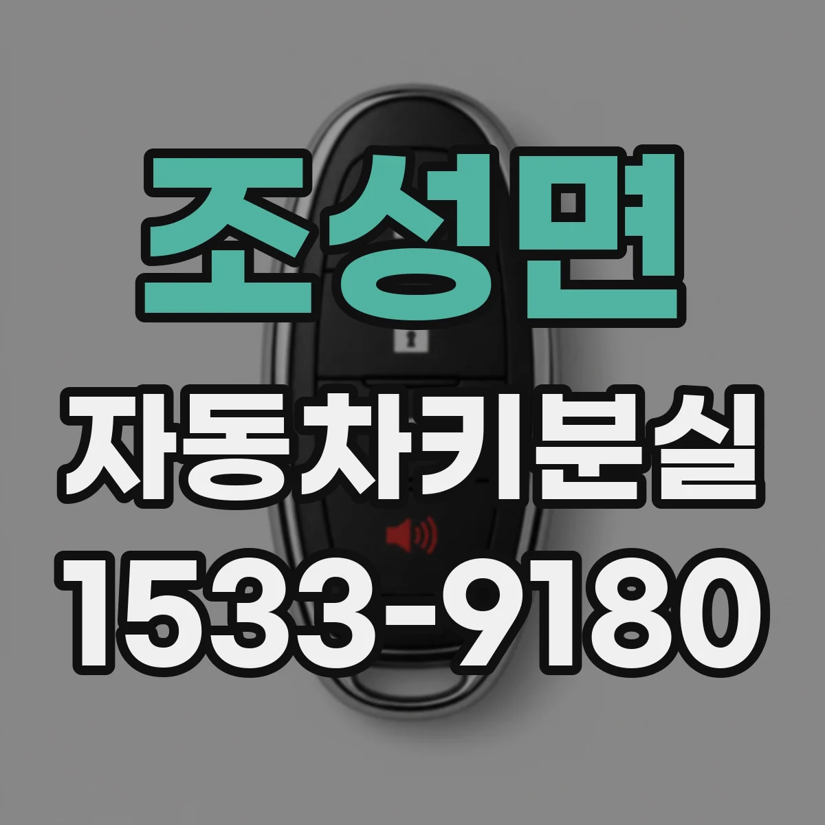 조성면 자동차키분실