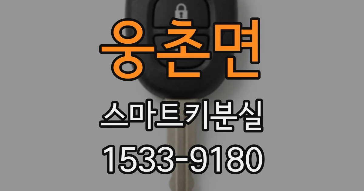 웅촌면 스마트키분실