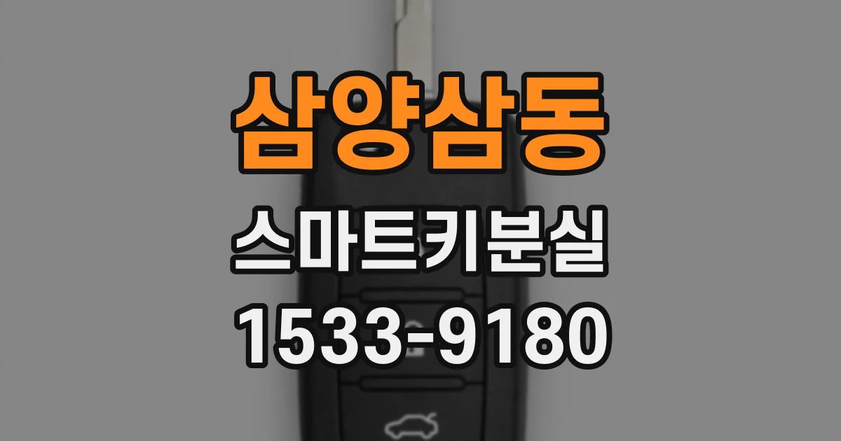 삼양삼동 스마트키분실