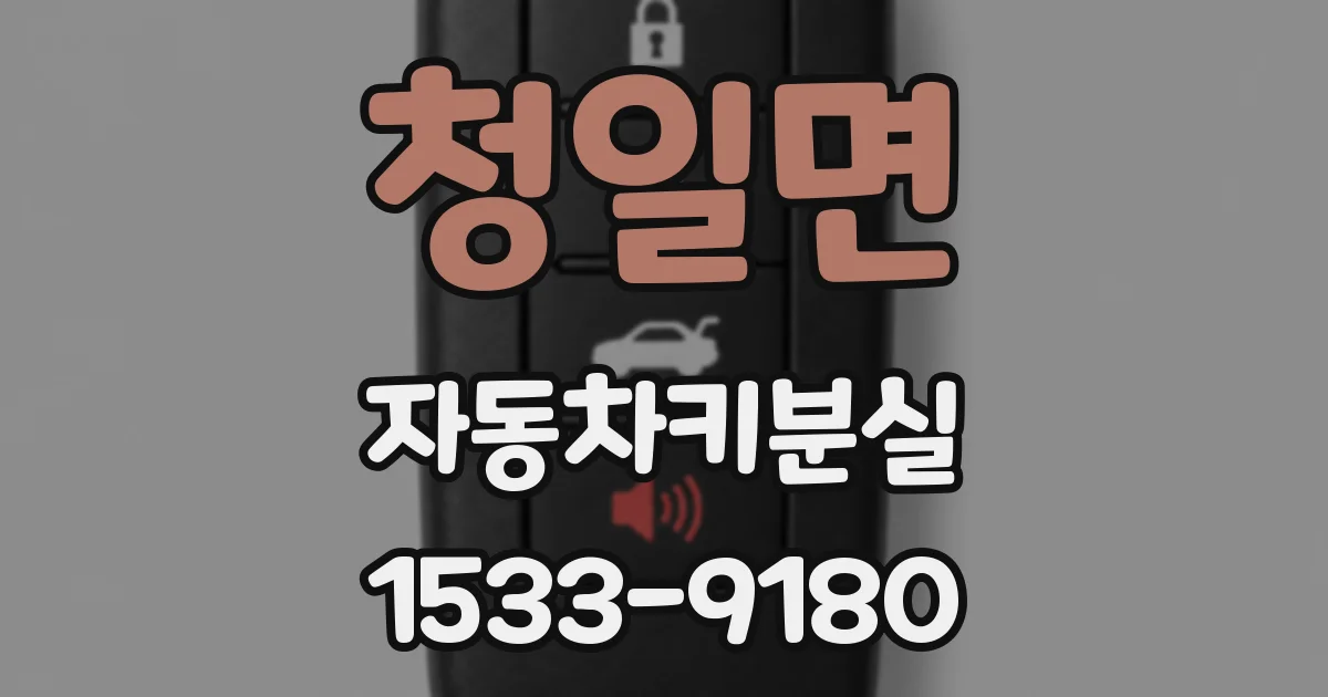 청일면 자동차키분실