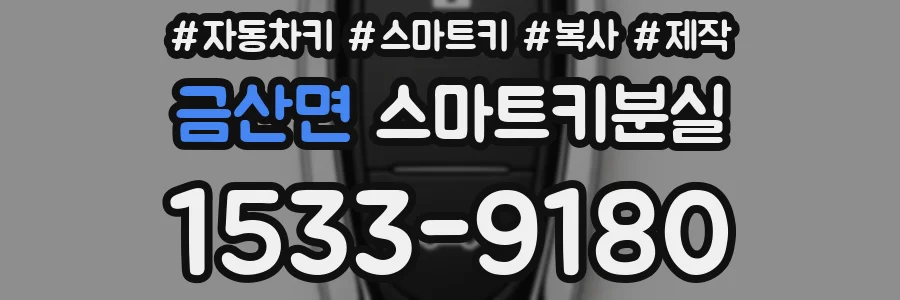 금산면 스마트키분실