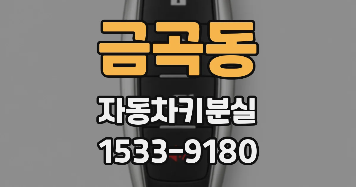 금곡동 자동차키분실