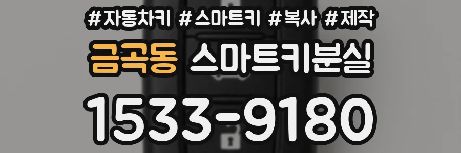 금곡동 스마트키분실
