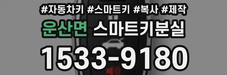 운산면 스마트키분실