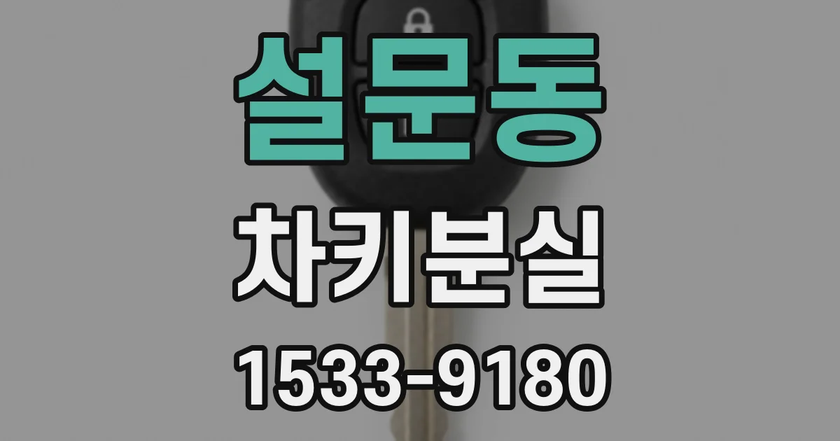 설문동 차키분실