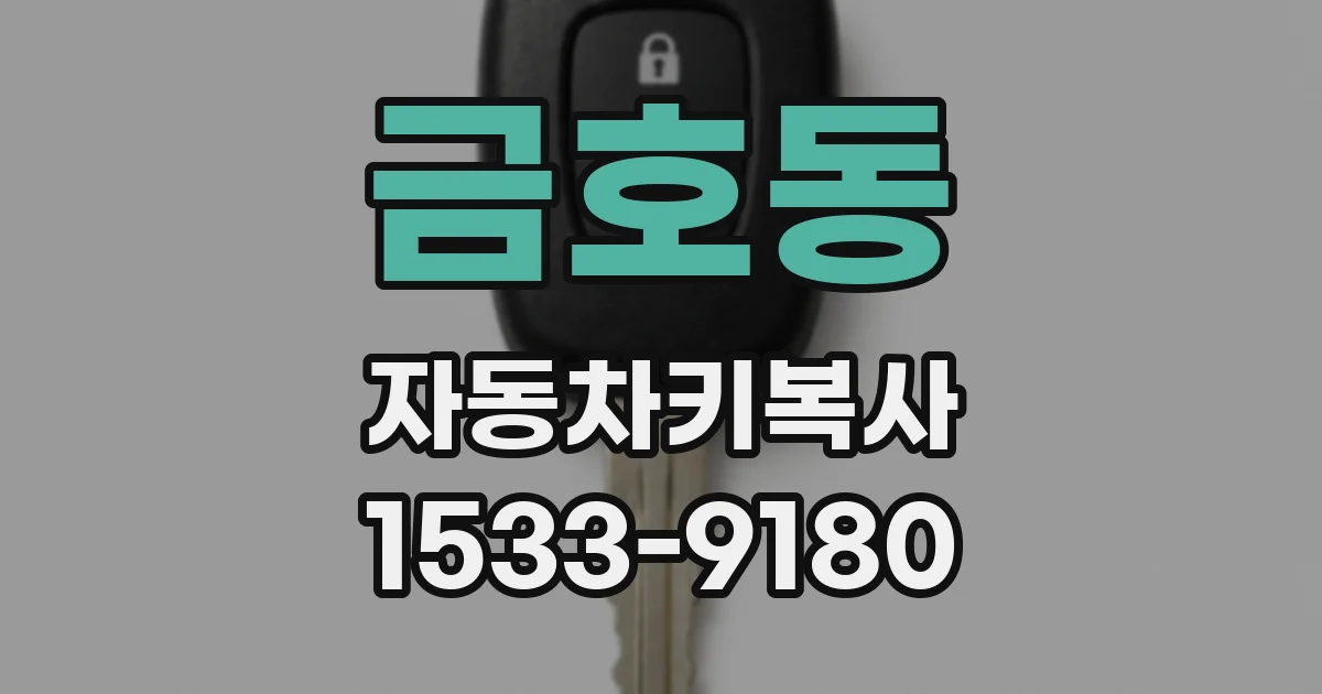 금호동 자동차키복사