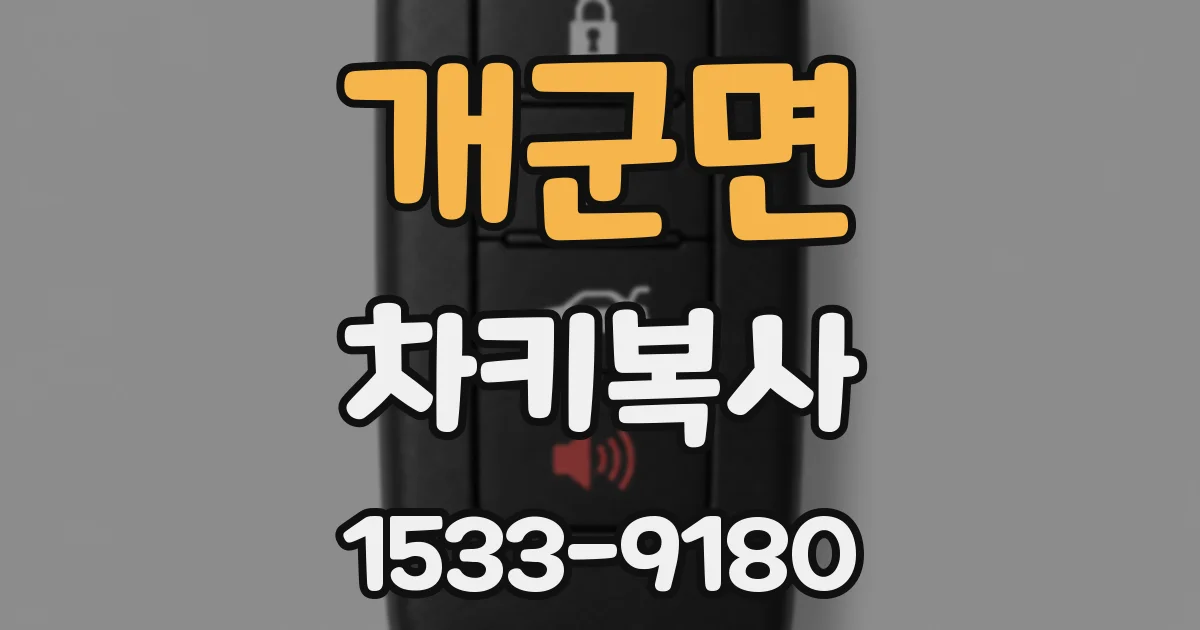 개군면 차키복사