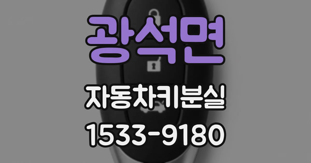 광석면 자동차키분실