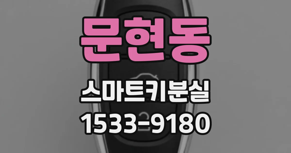 문현동 스마트키분실