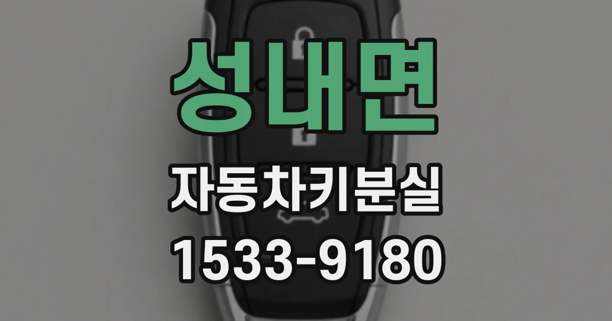 성내면 자동차키분실
