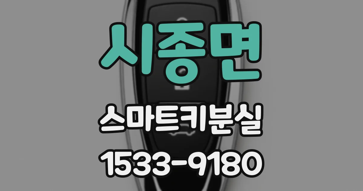 시종면 스마트키분실