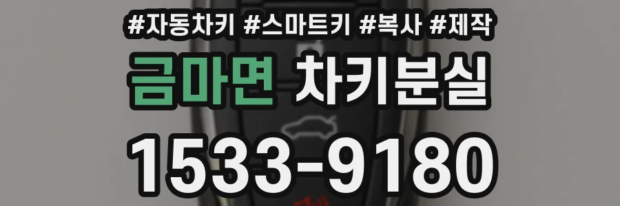 금마면 차키분실