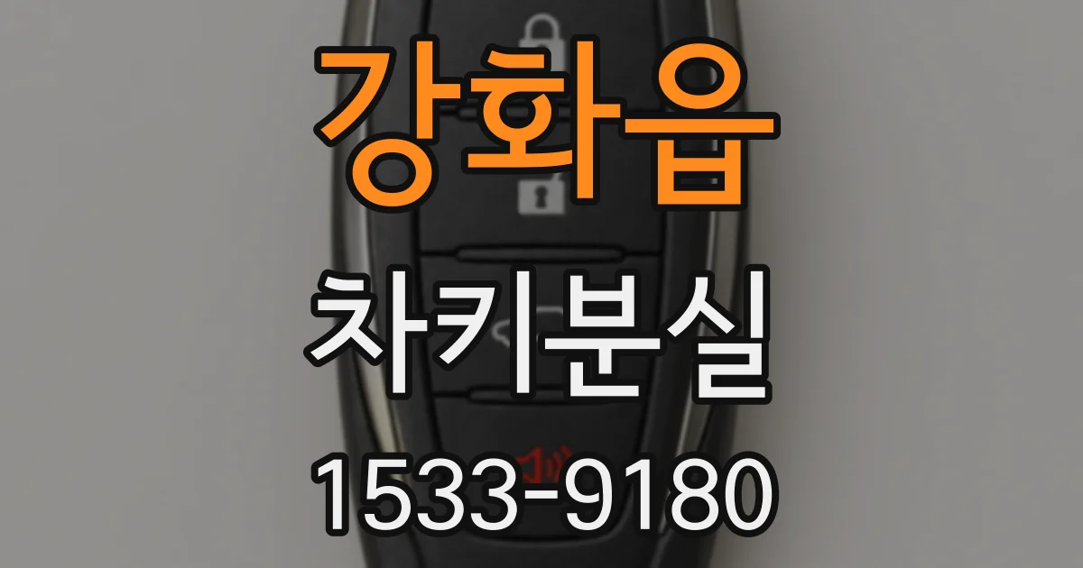 강화읍 차키분실